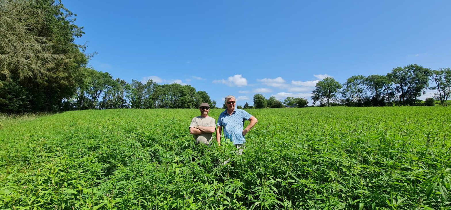 hemp-grower-carbon-offset-ed-hanbidge-grower-gary-byrnes-hempoffset