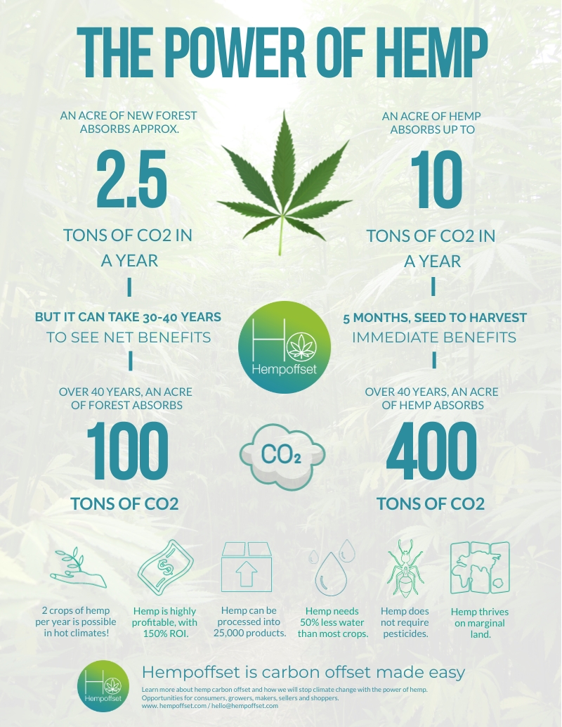 2022-the-year-of-hemp