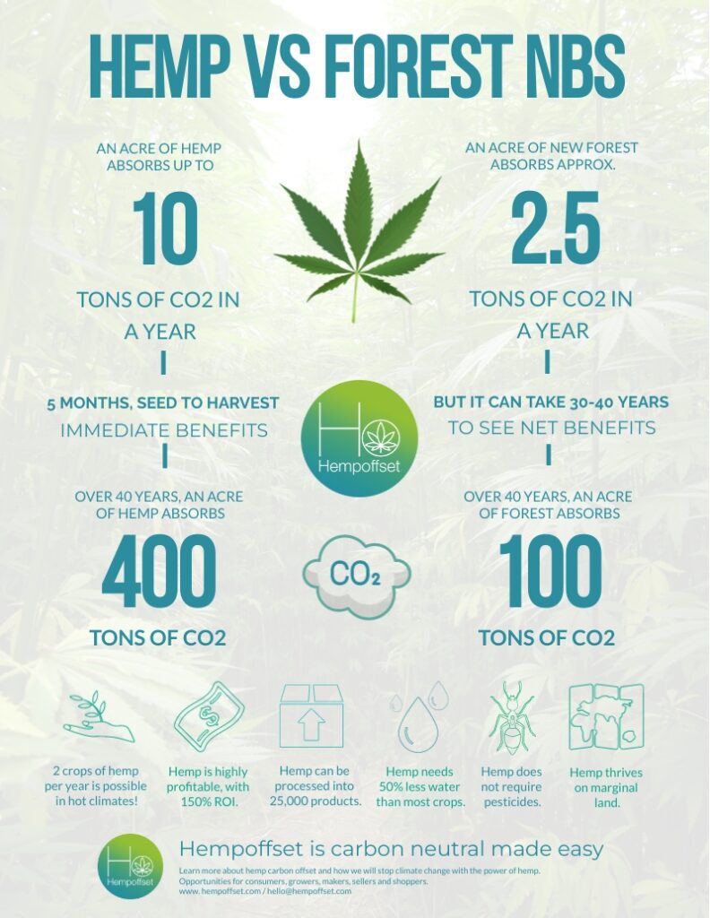 carbon-credits-hemp-vs-forestry-infographic