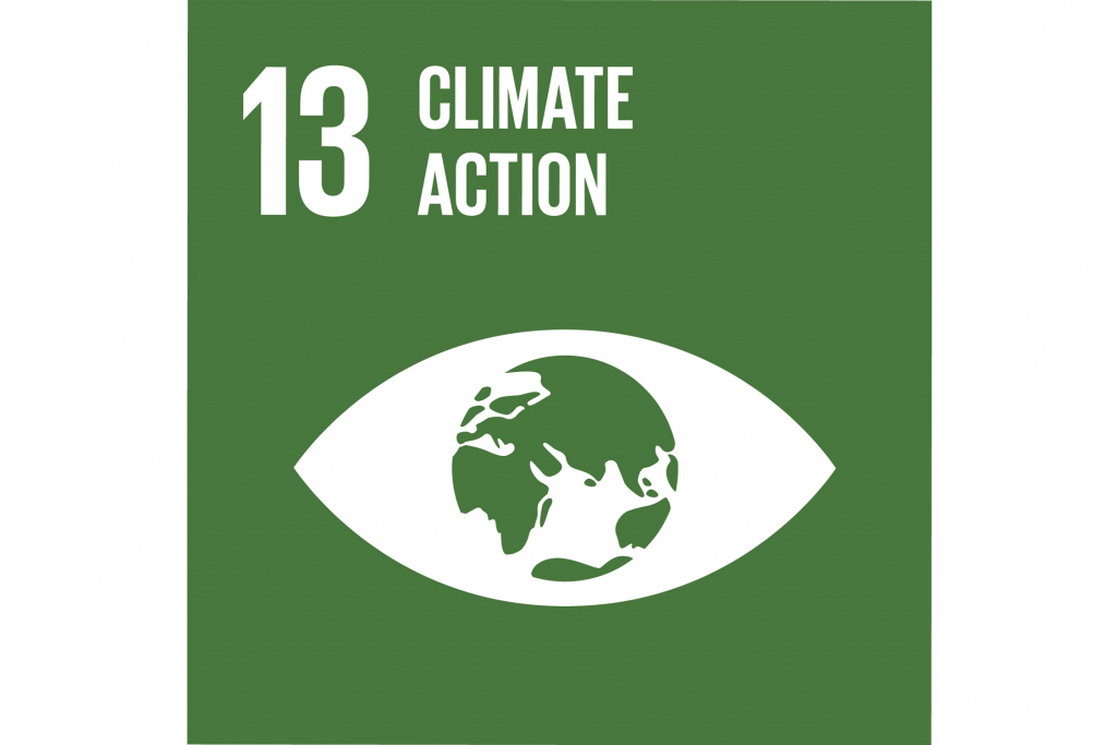 un-sdg-13-climate-action-hempoffset