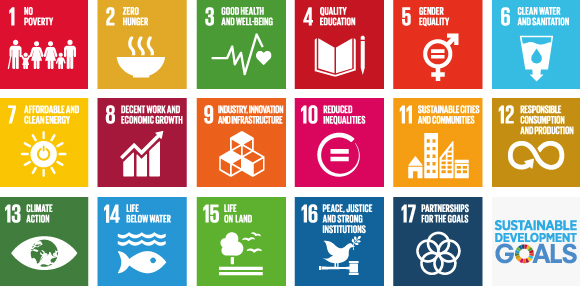 un-sdgs-impacts