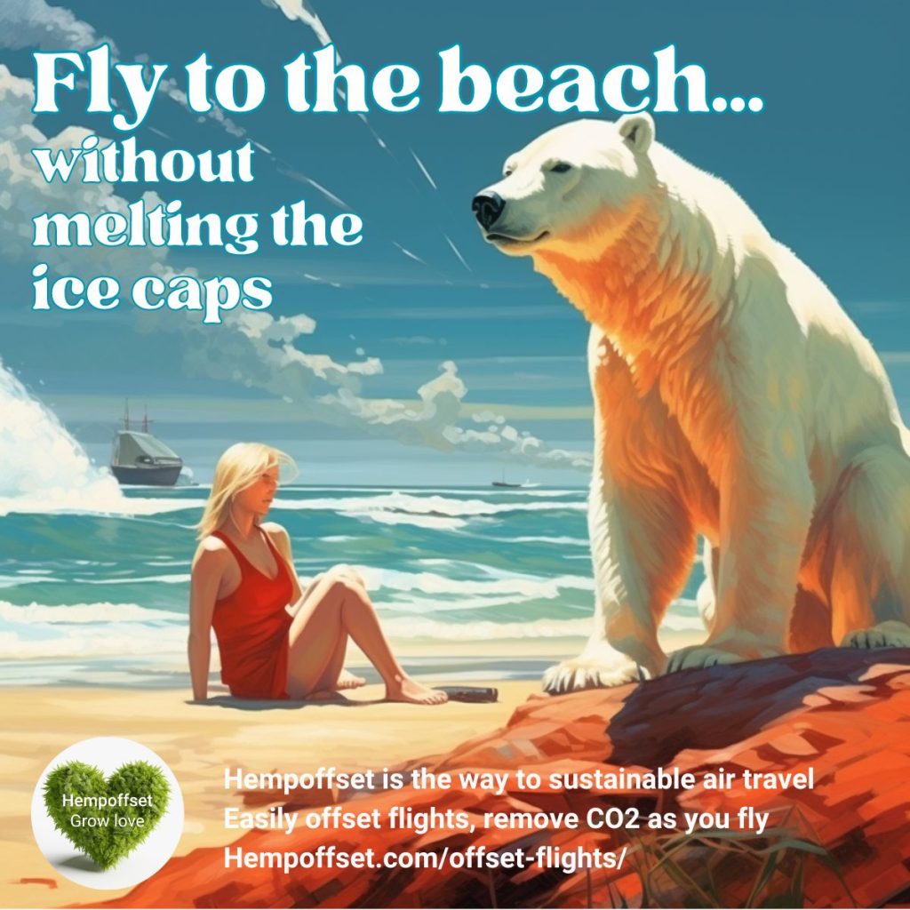 offset-flights-polar-bear-beach